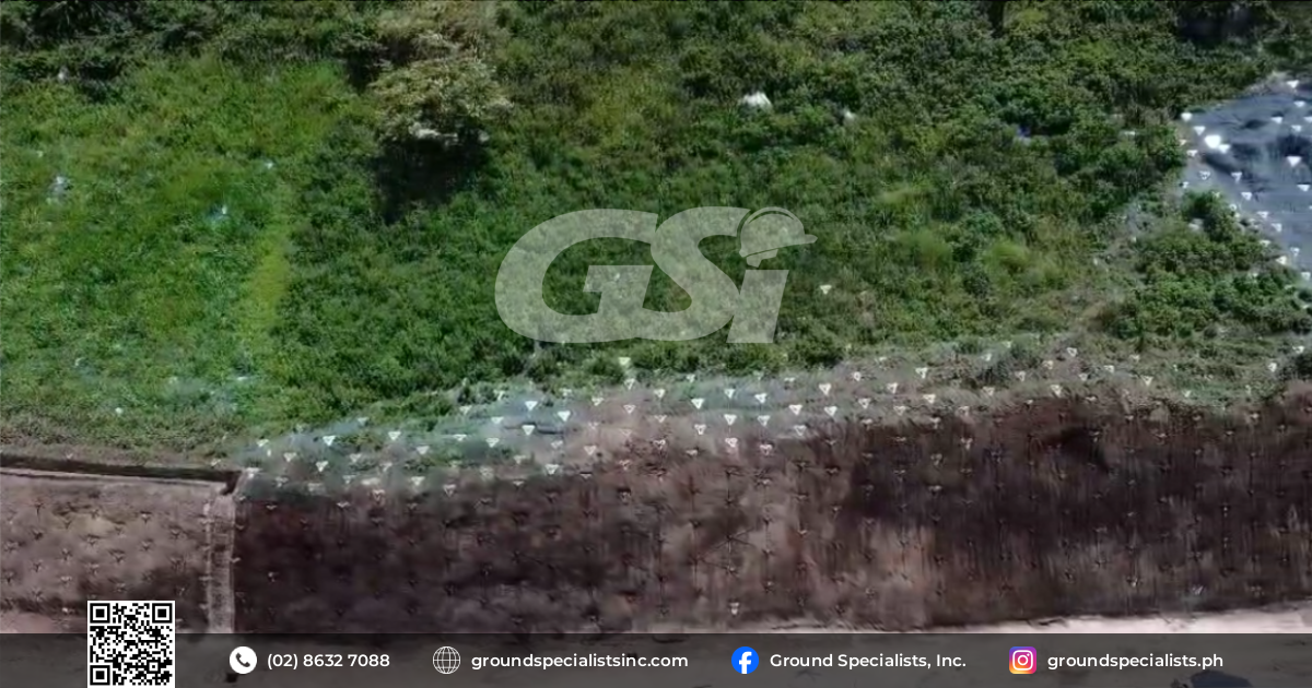 Strengthening Slopes, Growing Greener Futures